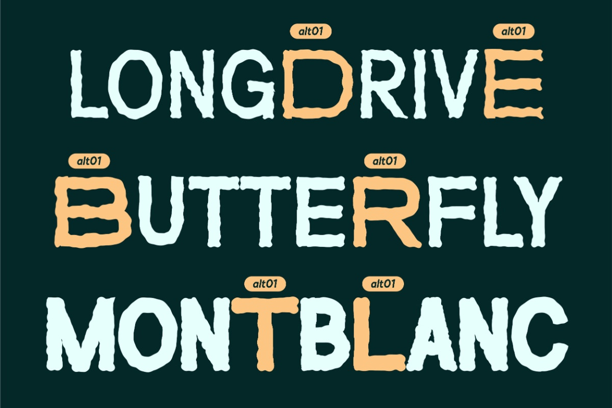 VT Roughney - Handdrawn Font, a Sans Serif Font by ViactionType (Photo 11 of 14)