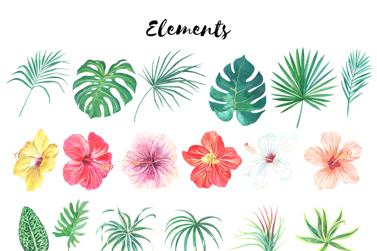 Bora-Bora flora.Watercolor clip art, an Illustration by Anyuka (Photo 5 of 6)