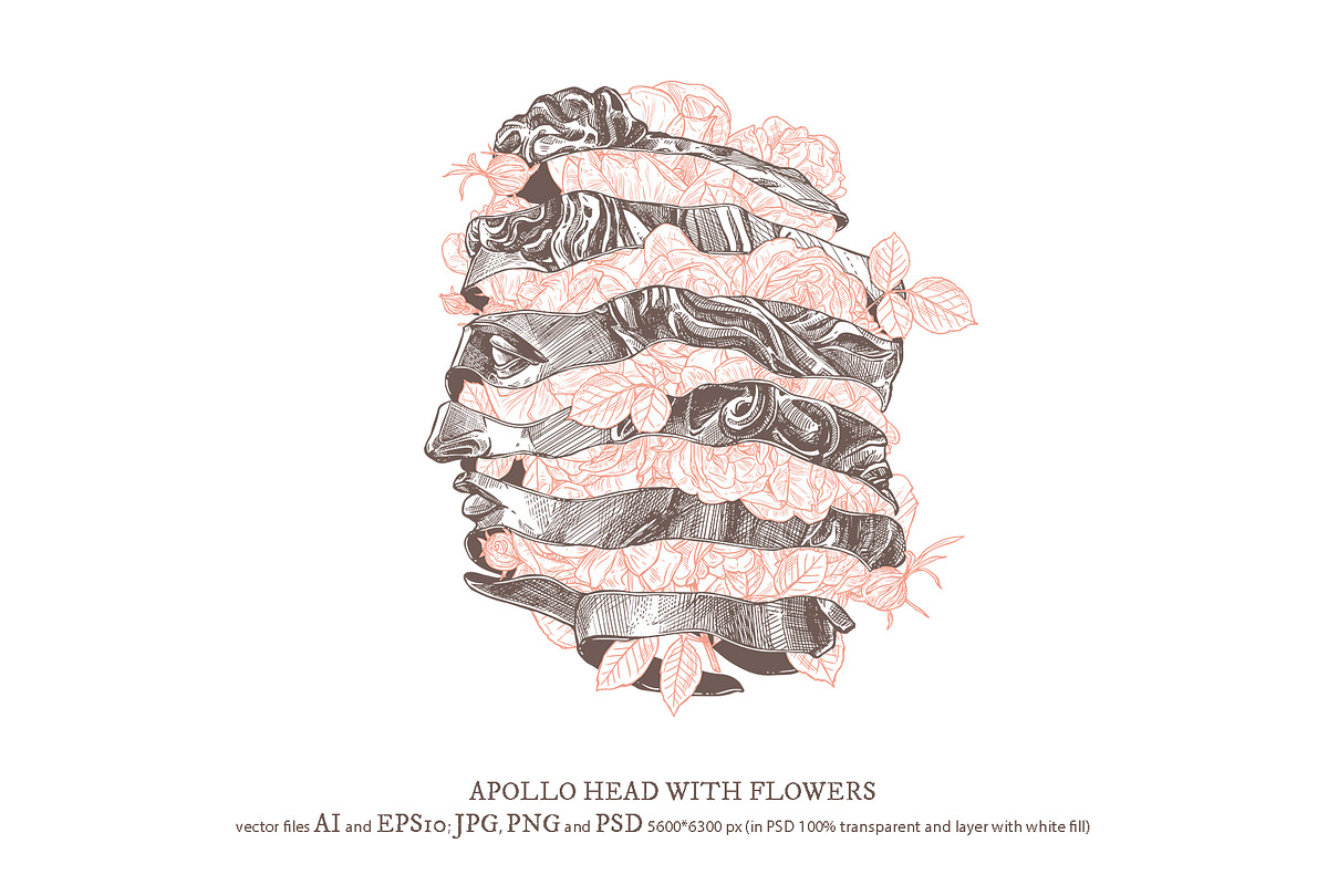 Apollo Belvedere Illustrations, an Illustration by alexrockheart (Photo 5 of 13)