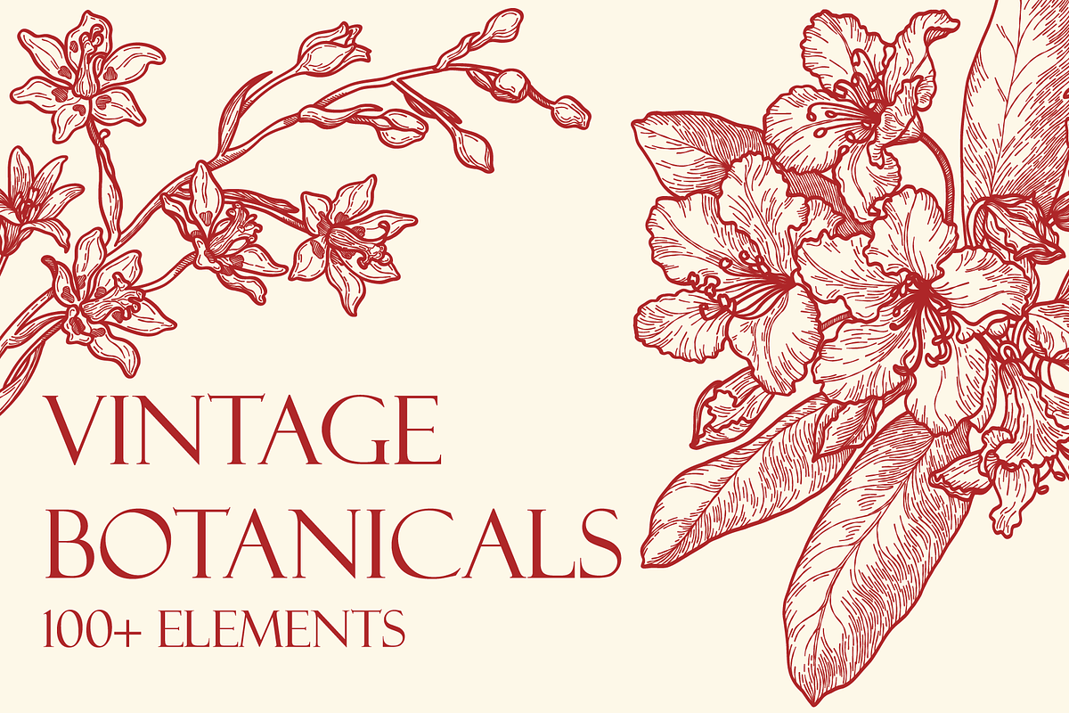Engraved Botanicals, a Decorative Illustration by dariikos (Photo 1 of 5)