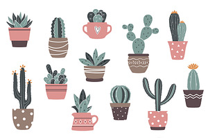 Cactus