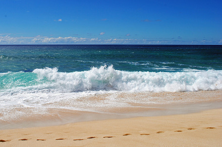 North shore featuring beach, beaches, and north shore