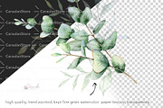 Eucalyptus Watercolor, an Object Illustration by CaraulanStore (Thumbnail 13 of 19)