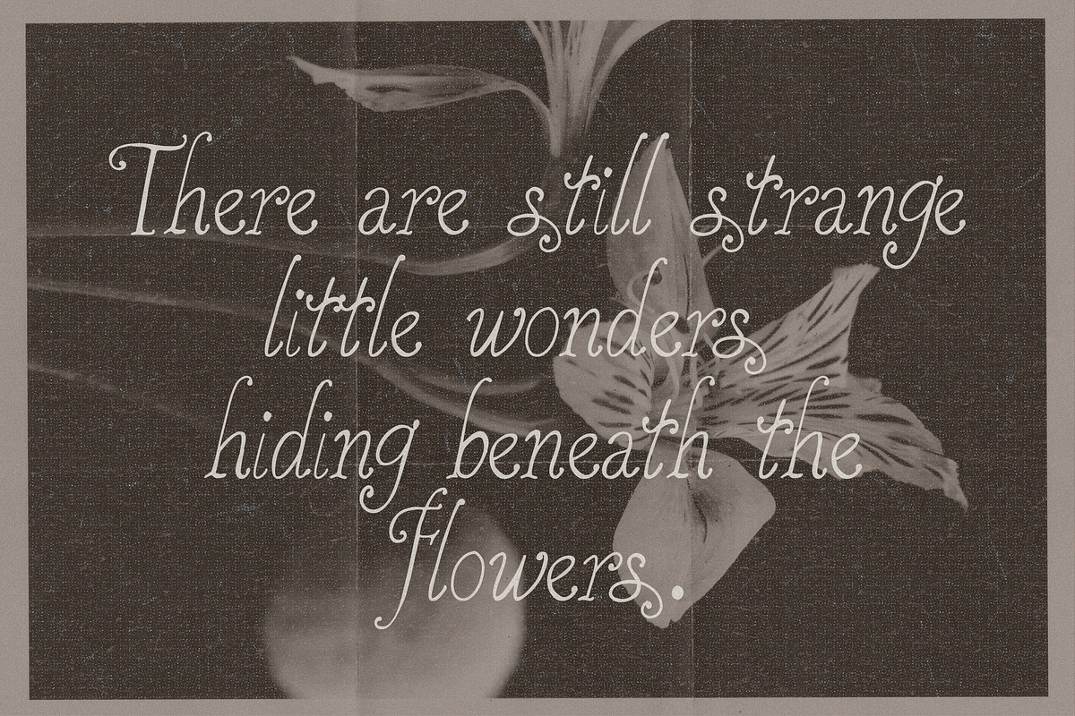 Handwritten Halloween Font Duo, a Handwritten Font by Laras Wonderland (Photo 8 of 14)
