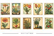 Vintage Garden Packets, a Seasonal Illustration by karenfoleyphoto (Thumbnail 15 of 15)