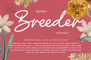 Breeder Font Duo