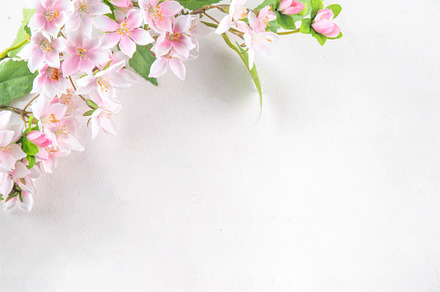 Easter holiday table setting with cutlery, a Holiday Photo by Rimma