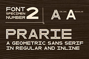 Wood Type Font Collection, a Sans Serif Font by Anugraha Design (Thumbnail 6 of 10)