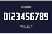HERSH SERIF FONT FAMILY, a Serif Font by Alphabet Agency (Thumbnail 4 of 14)