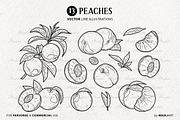 Peach SVG Clipart Fruit Set, a Food Illustration by MadliArt (Thumbnail 3 of 4)