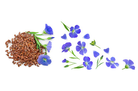 flax seeds with flower isolated on, a Food & Drink Photo by NataPhoto