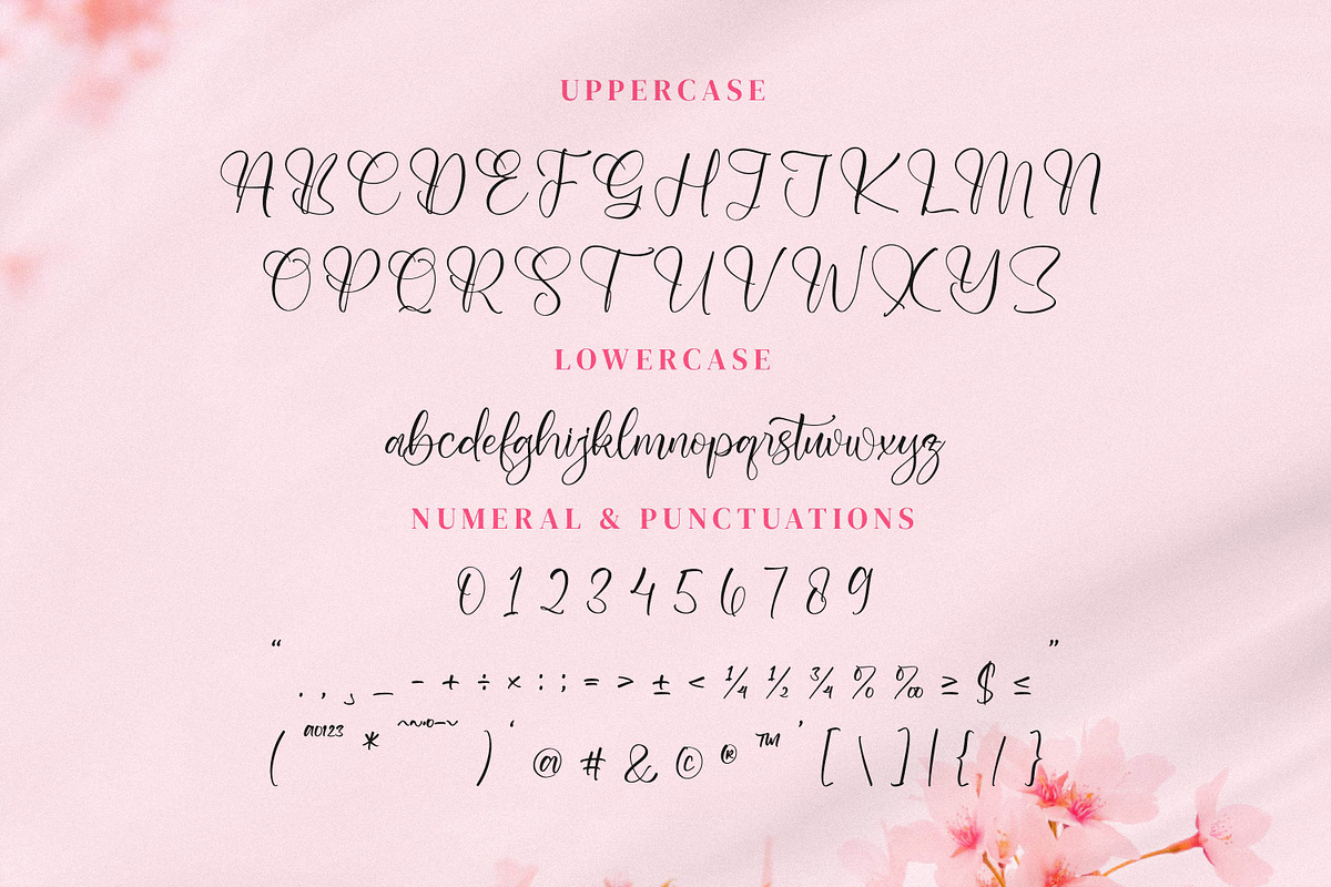 Shaquitta, a Script Font by Integritype Studio (Photo 9 of 15)