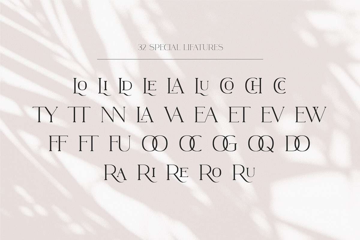 Lusican - Serif Display Font, a Sans Serif Font by Vesvocrea (Photo 8 of 9)