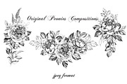 Hand Drawn Peonies, a Decorative Illustration by Valentyna Smordova (Thumbnail 4 of 6)