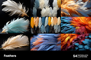 Feathers. 54 images, an Animal Illustration by Handmadefont (Thumbnail 8 of 12)