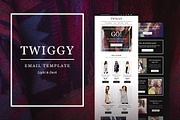 Twiggy E-Newsletter + Builder Access, an Email Template by NancyS (Thumbnail 1 of 2)