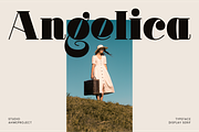 Mindely, a Serif Font by ahweproject (Thumbnail 10 of 12)
