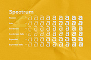 Fintalux Variable, a Sans Serif Font by Pista Mova (Thumbnail 8 of 13)