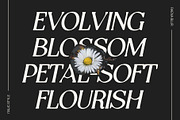 Raena Blur, a Serif Font by Craft Supply Co. (Thumbnail 2 of 8)