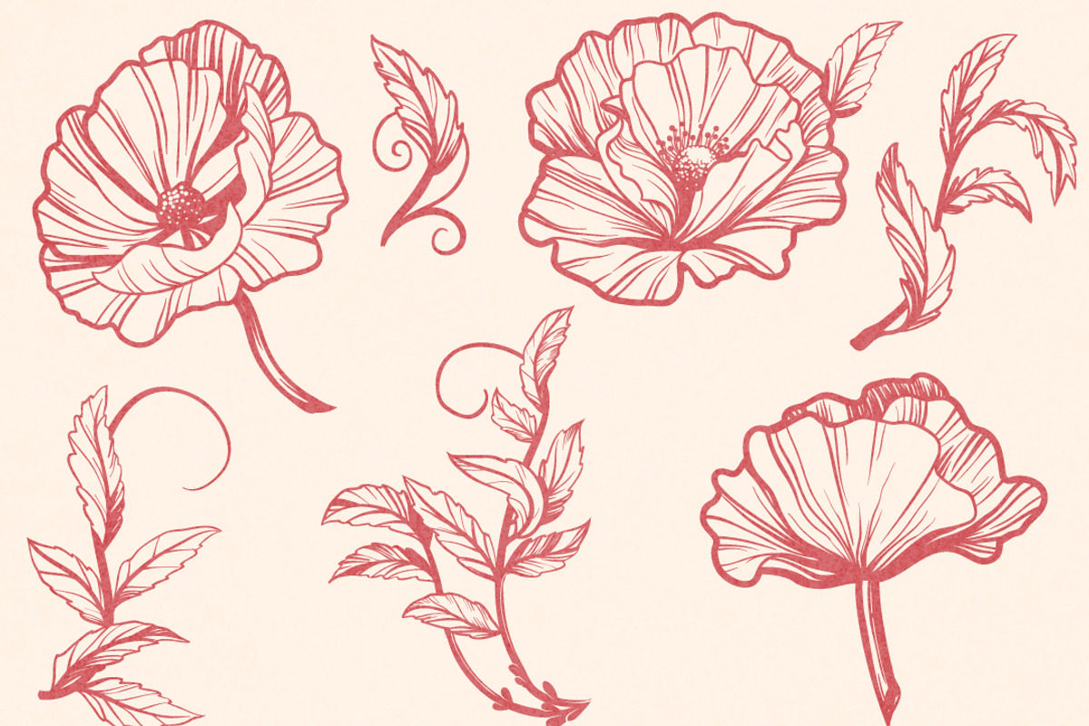 Vintage Bundle- 250 vector elements, an Object Graphic by TatianaCociorva (Photo 13 of 19)