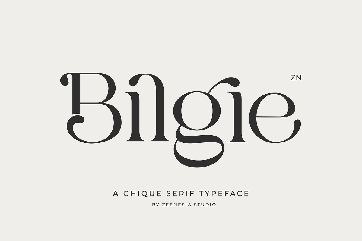 Bilgie - Chique Serif Font, a Serif Font by zeenesia (Photo 1 of 19)