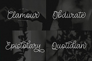 Elegant Script Font Bundle, a Script Font by Flawless And Co (Thumbnail 9 of 11)