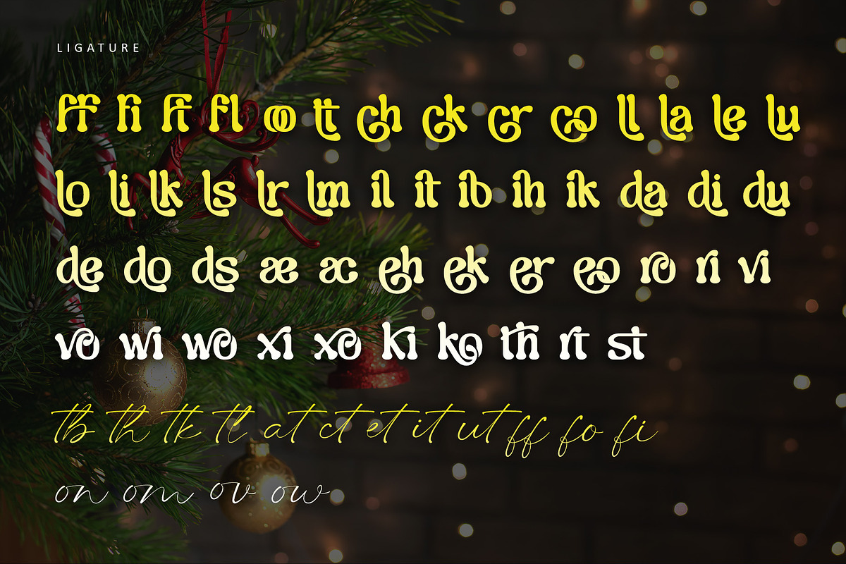 Merrys, a Serif Font by Letterara (Photo 12 of 14)