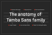 Tamba Sans, a Sans Serif Font by Dharma Type (Thumbnail 5 of 12)