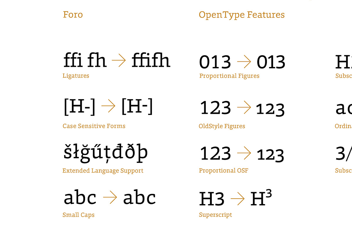 Foro, a Slab Serif Font by Hoftype (Photo 14 of 14)