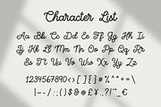 Lyrical Monoline Script Font, a Script Font by The Creative Bix (Thumbnail 10 of 11)