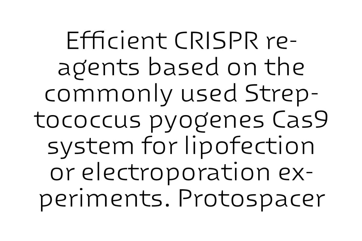 RNS Laxgo, a Sans Serif Font by RNS Fonts (Photo 3 of 9)