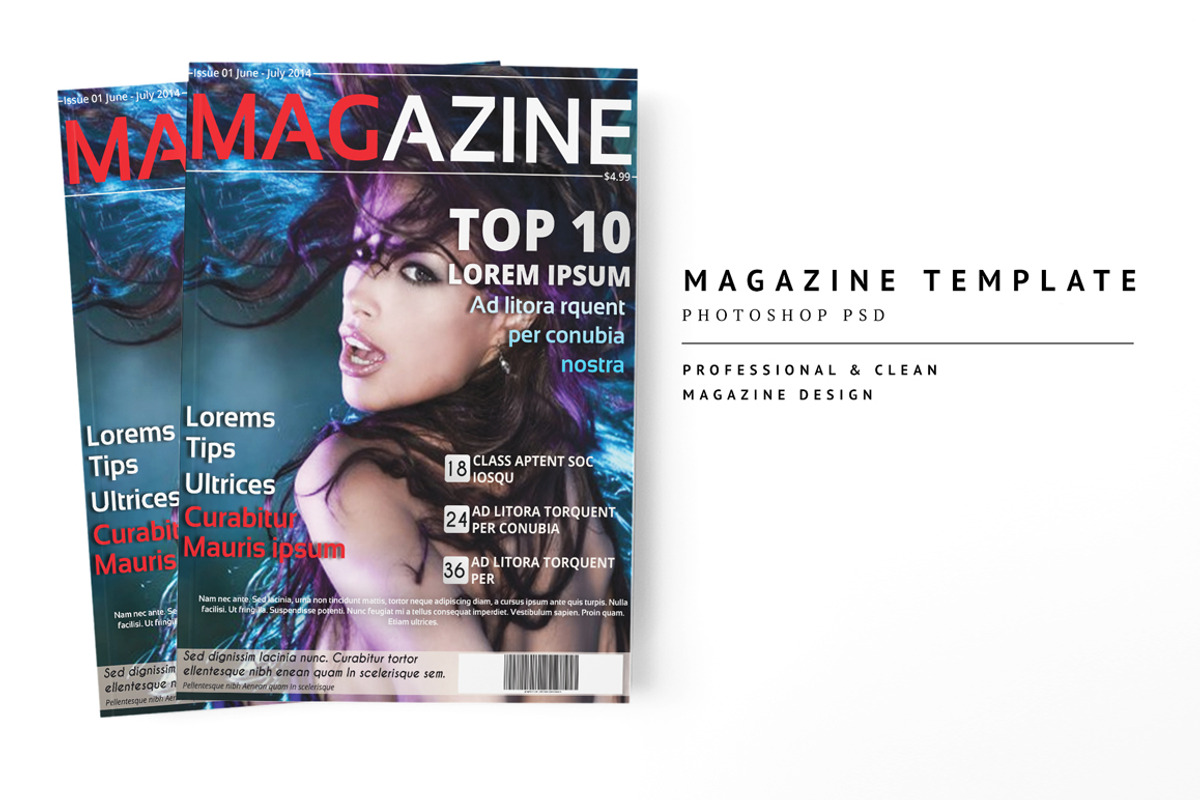 Magazine Template 14, a Magazine Template by pmvch (Photo 1 of 10)