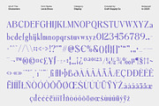Lecia Disco, a Serif Font by Craft Supply Co. (Thumbnail 8 of 8)