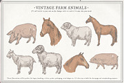 Farm Animals Set, an Object Graphic by Siosay (Thumbnail 10 of 12)