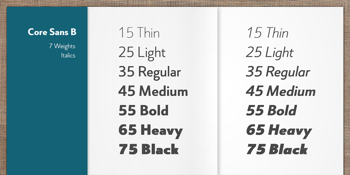 Core Sans B, a Sans Serif Font by S-Core (Photo 3 of 7)