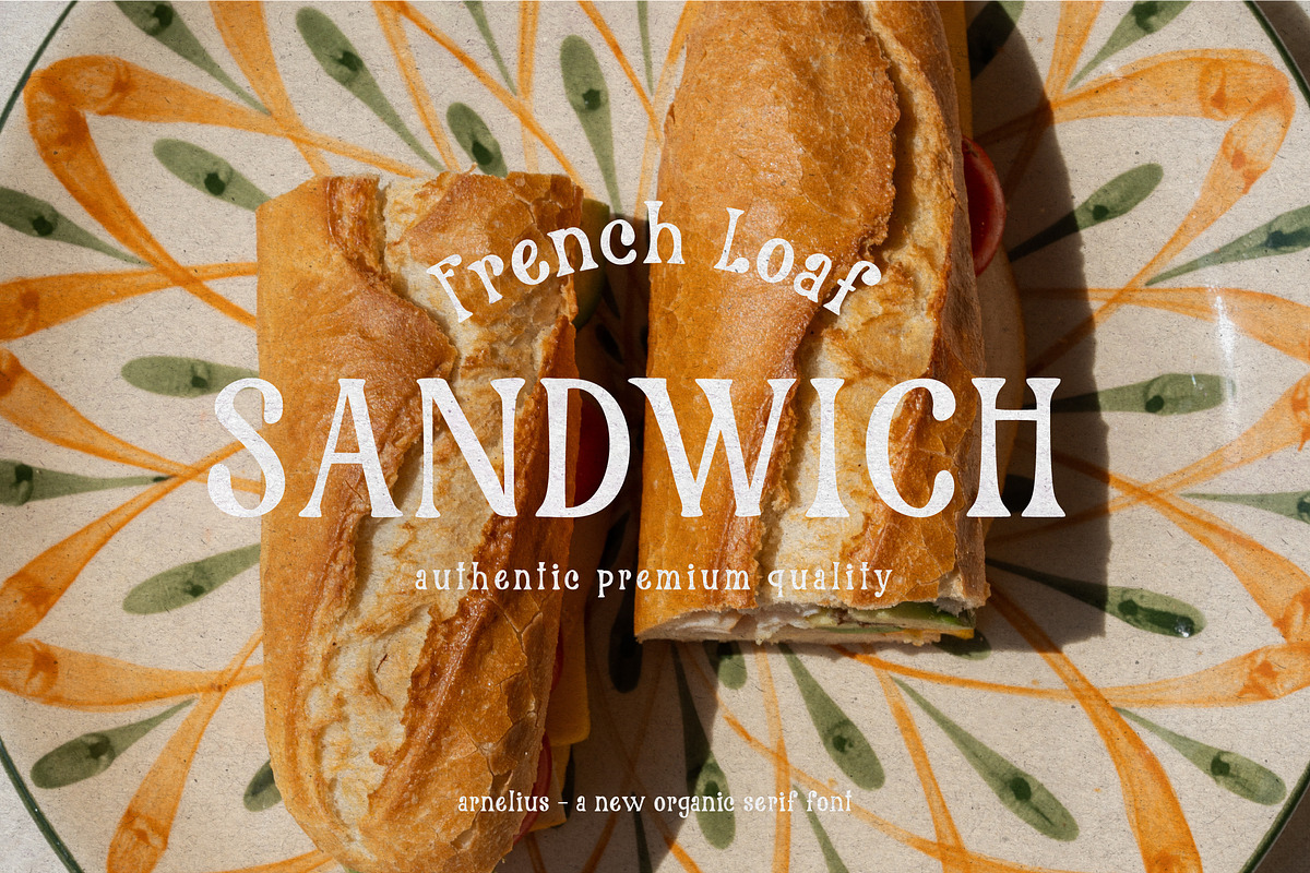 Arnelius Serif Font, a Serif Font by etigletters (Photo 1 of 9)