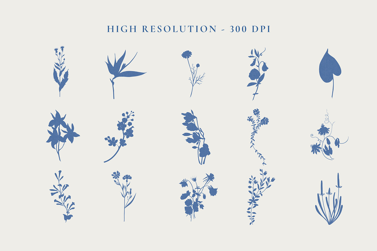 Indigo Wildflowers Illustrations, a Graphic by Paper Flowers Studio (Photo 3 of 6)