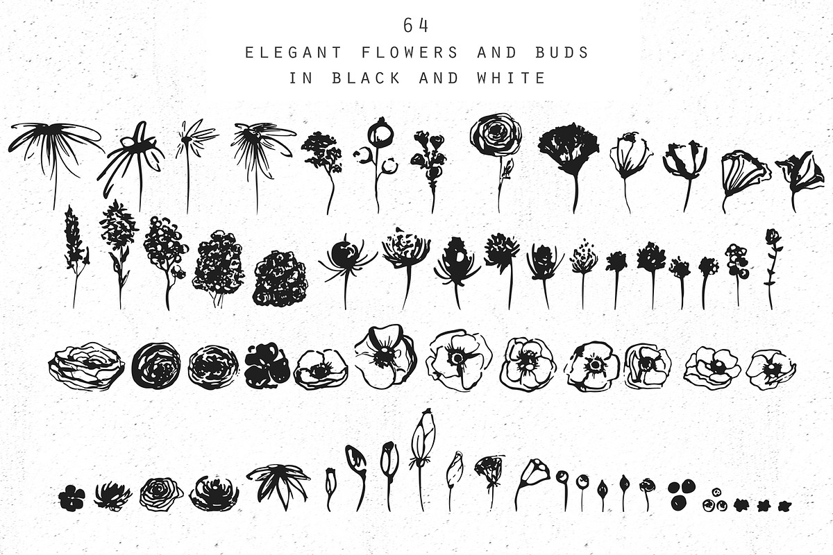Ink floral collection. Floral ABC, an Illustration by Vera●Suleimanova (Photo 16 of 19)