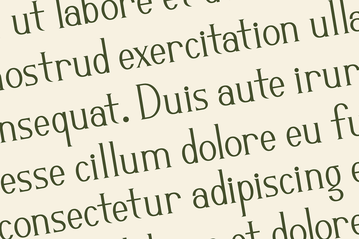 Gradonia -  Serif Typeface Font, a Serif Font by Rishsketch (Photo 12 of 15)