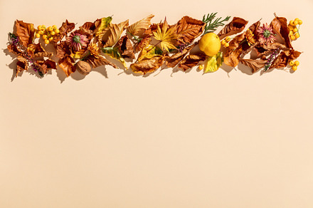 Autumn composition. Frame made of dry autumn leaves, berries, fr, a Holiday Photo by Natalia Klenova's Shop