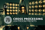 Cross Processing Lightroom Presets, a Preset Add-On by DreamColor (Thumbnail 1 of 5)