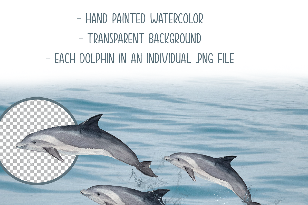 Dolphins Watercolor Clip Art & Print, an Education Illustration by Tati Bordiu (Photo 2 of 4)