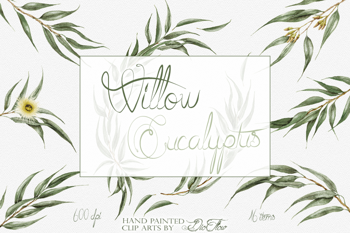 Willow Eucalyptus Illustration, a Decorative Illustration by DioFlow (Photo 1 of 5)