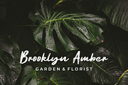 Ematodas, a Script Font by Subqi Std (Thumbnail 6 of 8)