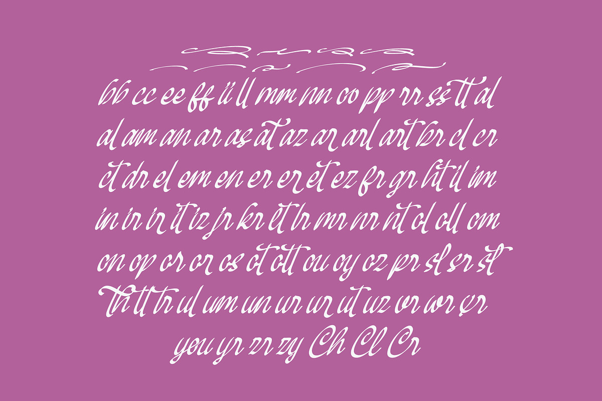 Mendyora Bold Calligraphy Font, a Script Font by Letterena Studios Script (Photo 12 of 15)
