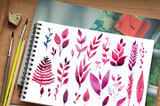 Watercolor Herbs and leaves, an Illustration by Olesya Morokhovets (Thumbnail 3 of 4)