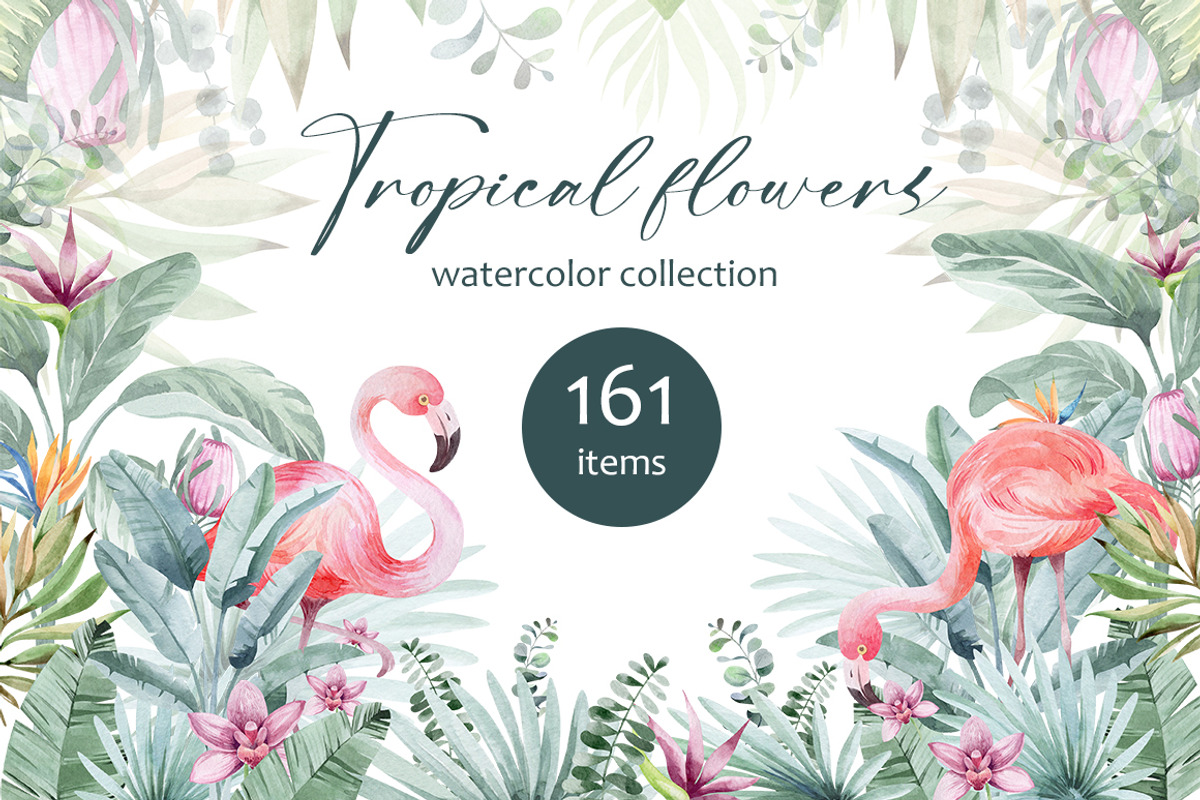 FLAMINGO & FLOWERS  tropical set, a Decorative Illustration by LenArt (Photo 1 of 18)