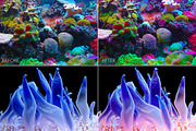 Barrier Reef Lr Presets, an Action Add-On by PandoraDreams (Thumbnail 4 of 7)