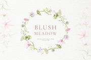Blush Meadow Watercolor Wildflowers, a Decorative Illustration by Liliia Polos Illustration (Thumbnail 3 of 12)