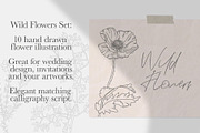 Botanical Clip Art Wild Flowers PNG, an Illustration by MakeMyPlaceDesign (Thumbnail 2 of 3)